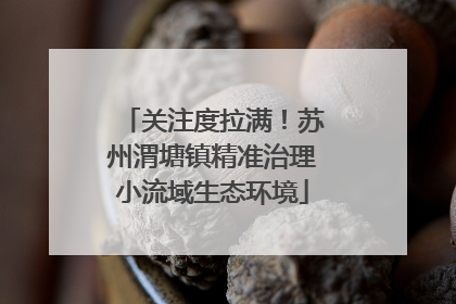 关注度拉满！苏州渭塘镇精准治理小流域生态环境