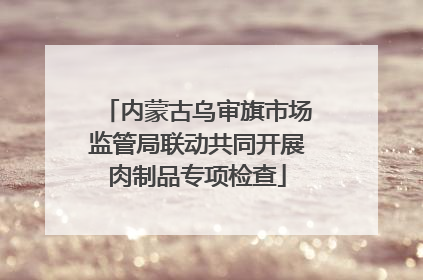 内蒙古乌审旗市场监管局联动共同开展肉制品专项检查