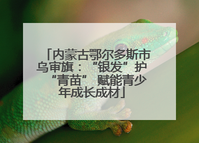 内蒙古鄂尔多斯市乌审旗：“银发”护“青苗” 赋能青少年成长成材