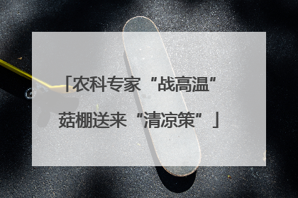 农科专家“战高温” 菇棚送来“清凉策”