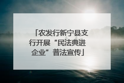 农发行新宁县支行开展“民法典进企业”普法宣传