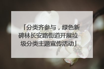 分类齐参与，绿色新碑林长安路街道开展垃圾分类主题宣传活动