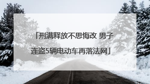 刑满释放不思悔改 男子连盗5辆电动车再落法网