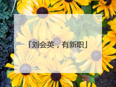 刘会英，有新职