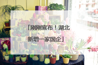 刚刚宣布！湖北新增一家国企