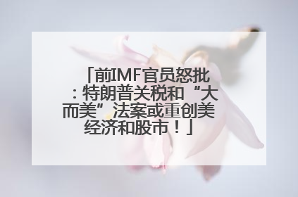 前IMF官员怒批：特朗普关税和“大而美”法案或重创美经济和股市！