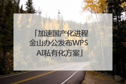 加速国产化进程 金山办公发布WPS AI私有化方案