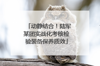 动静结合！陆军某团实战化考核检验装备保养质效