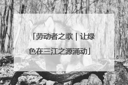 劳动者之歌｜让绿色在三江之源涌动