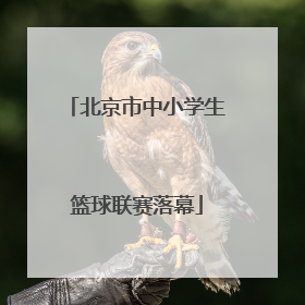 北京市中小学生篮球联赛落幕