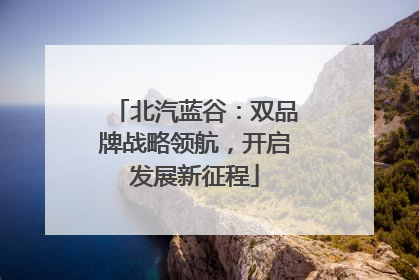 北汽蓝谷：双品牌战略领航，开启发展新征程