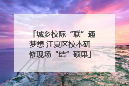 城乡校际“联”通梦想 江夏区校本研修现场“结”硕果