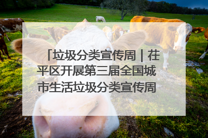 垃圾分类宣传周｜茌平区开展第三届全国城市生活垃圾分类宣传周系列活动之垃圾分类基层专题培训活动