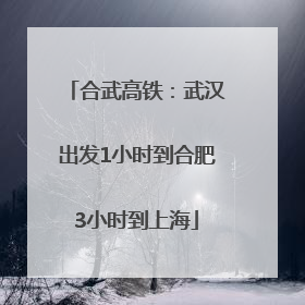合武高铁：武汉出发1小时到合肥3小时到上海