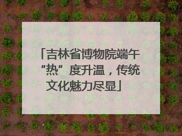 吉林省博物院端午“热”度升温，传统文化魅力尽显