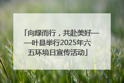 向绿而行，共赴美好——叶县举行2025年六五环境日宣传活动