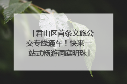 君山区首条文旅公交专线通车！快来一站式畅游洞庭明珠