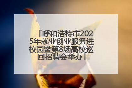 呼和浩特市2025年就业创业服务进校园暨第8场高校巡回招聘会举办