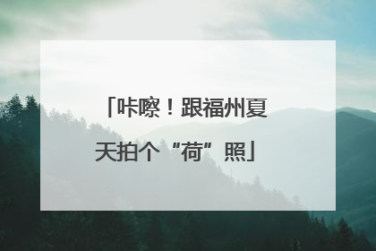 咔嚓！跟福州夏天拍个“荷”照