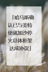 哈马斯确认已与美特使就加沙停火总体框架达成协议