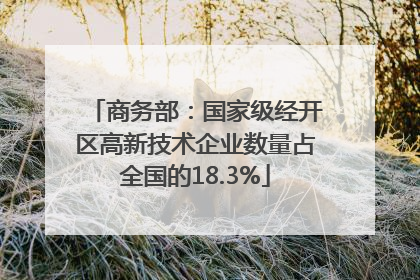 商务部：国家级经开区高新技术企业数量占全国的18.3%