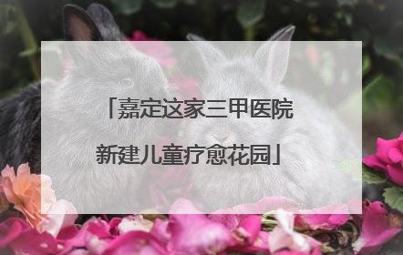 嘉定这家三甲医院新建儿童疗愈花园