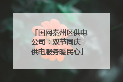 国网秦州区供电公司：双节同庆 供电服务暖民心