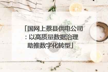 国网上蔡县供电公司：以高质量数据治理 助推数字化转型