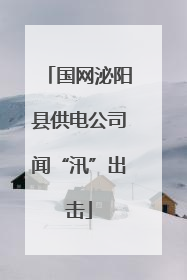 国网泌阳县供电公司闻“汛”出击