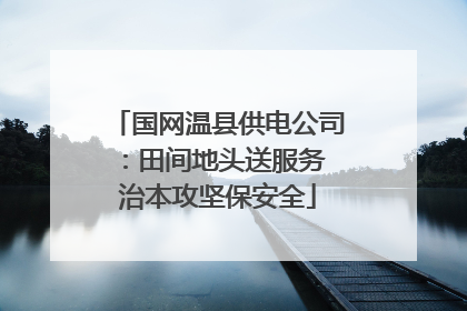 国网温县供电公司：田间地头送服务 治本攻坚保安全