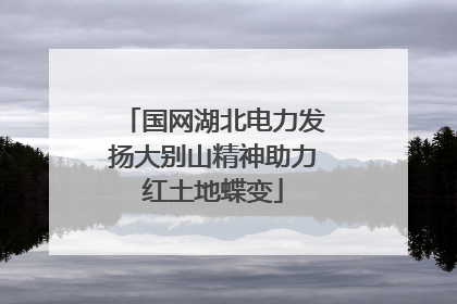 国网湖北电力发扬大别山精神助力红土地蝶变