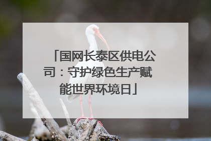 国网长泰区供电公司：守护绿色生产赋能世界环境日