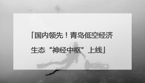 国内领先！青岛低空经济生态“神经中枢”上线