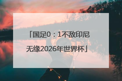 国足0：1不敌印尼 无缘2026年世界杯