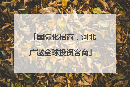 国际化招商，河北广邀全球投资客商