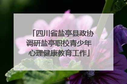 四川省盐亭县政协调研盐亭职校青少年心理健康教育工作