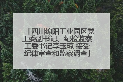 四川绵阳工业园区党工委副书记、纪检监察工委书记李玉琼 接受纪律审查和监察调查