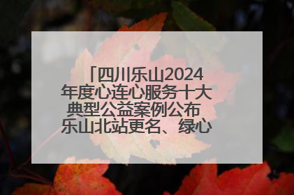 四川乐山2024年度心连心服务十大典型公益案例公布 乐山北站更名、绿心路井盖治理等上榜