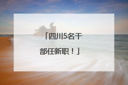 四川5名干部任新职！