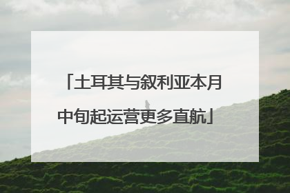 土耳其与叙利亚本月中旬起运营更多直航