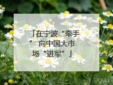 在宁波“牵手” 向中国大市场“进军”