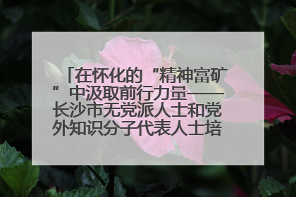 在怀化的“精神富矿”中汲取前行力量——长沙市无党派人士和党外知识分子代表人士培训班在怀化圆满举办