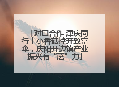 对口合作 津庆同行丨小香菇撑开致富伞，庆阳开边镇产业振兴有“蘑”力