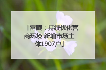 富顺：持续优化营商环境 新增市场主体1907户