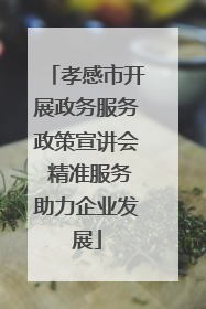 孝感市开展政务服务政策宣讲会 精准服务助力企业发展