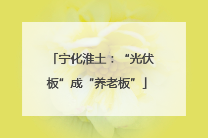 宁化淮土：“光伏板”成“养老板”