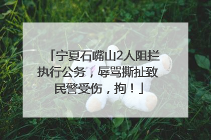 宁夏石嘴山2人阻拦执行公务，辱骂撕扯致民警受伤，拘！