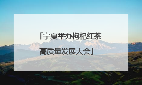 宁夏举办枸杞红茶高质量发展大会