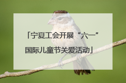 宁夏工会开展“六一”国际儿童节关爱活动