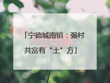 宁德城南镇：强村共富有“土”方